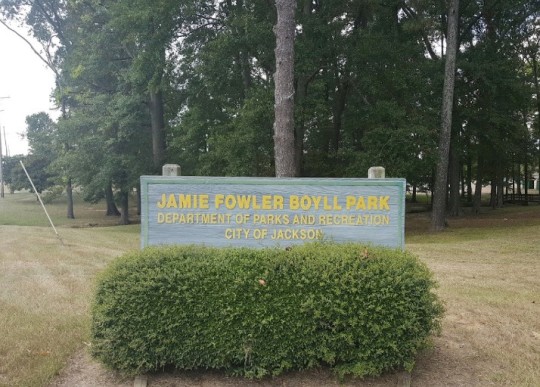 jamiefowlerboyllpark 1